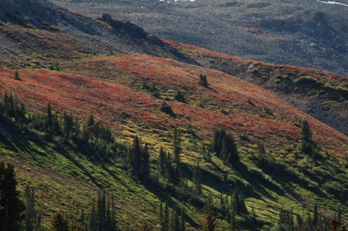 Canada's Icefields Parkway